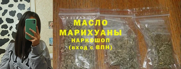 индика Бронницы